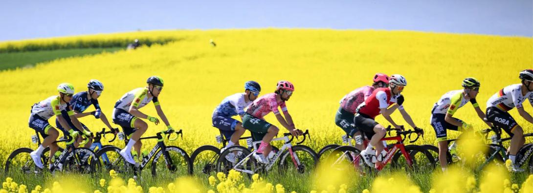 Conférence des Présidents des Organes de Répartition du Sport