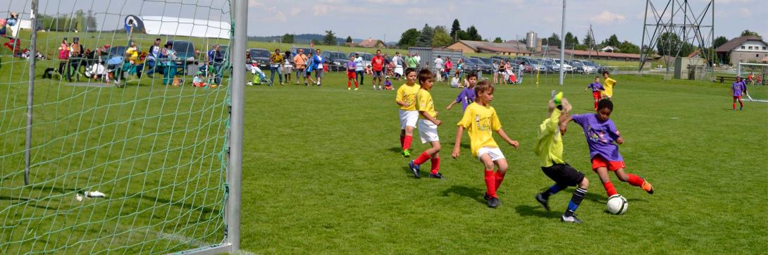 Fondation « Fonds du sport vaudois »